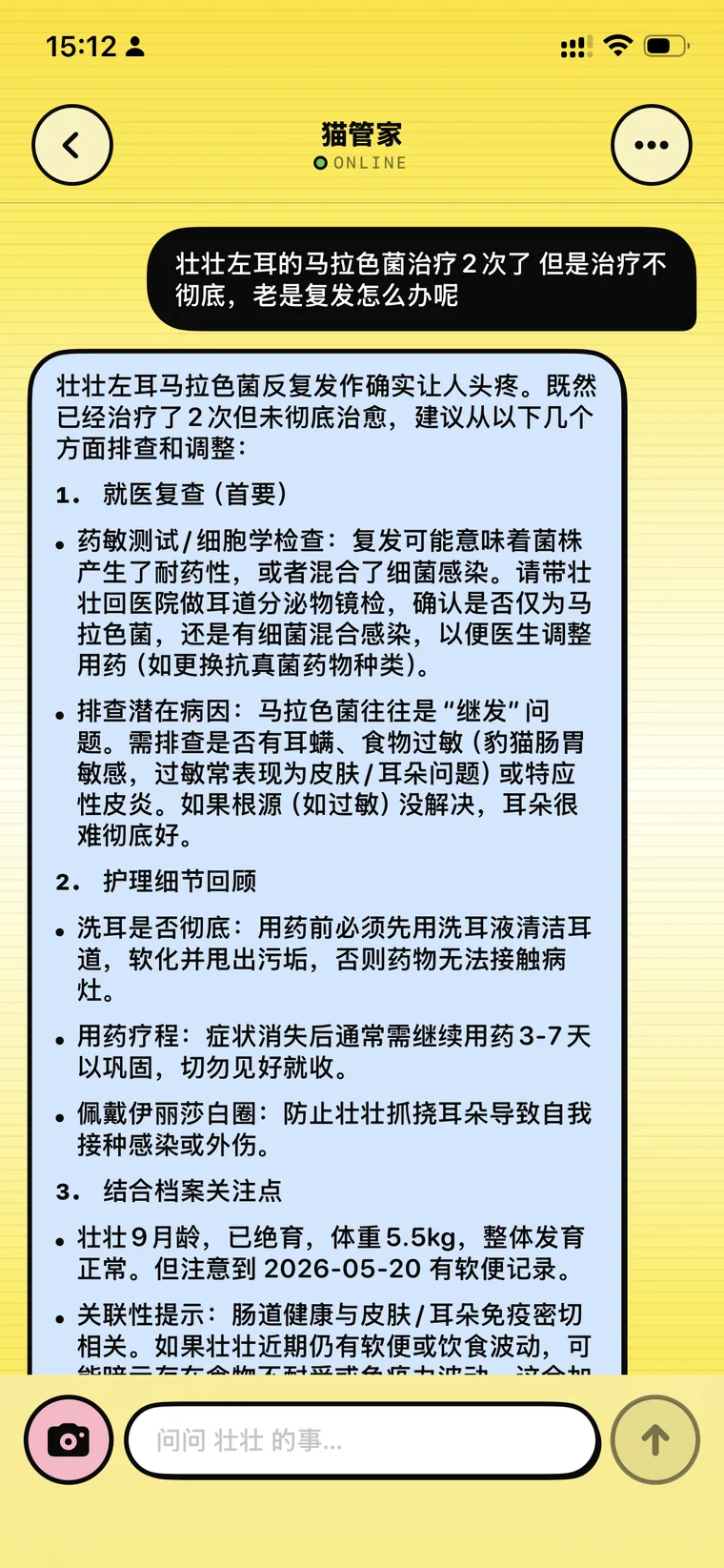 猫猫顾问